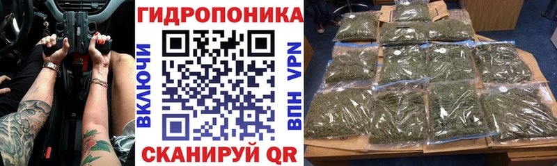 где купить   Пролетарск  Шишки марихуана план 